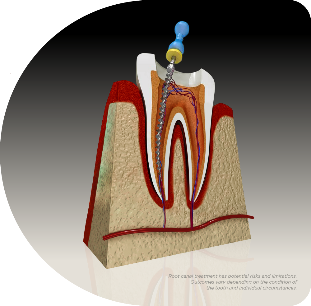 Dentistry Plus